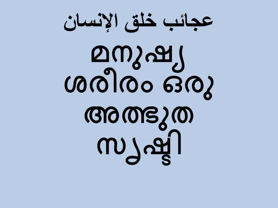 മനുഷ്യ ശരീരം ഒരു അത്ഭുത സൃഷ്ടി